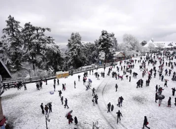 Bus Rental Shimla