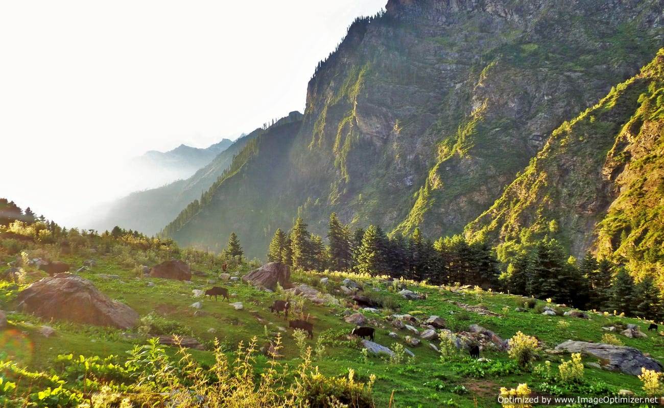 Delhi to McLeodganj tour package